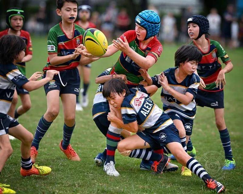 ysbSPORTS-匈牙利代表队迎来巅峰时刻，夺得金牌