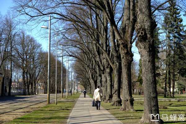 ysbSPORTS-拉脱维亚队与爱沙尼亚队决一高下，胜负悬念