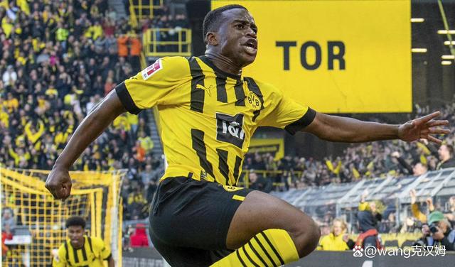 易胜博体育官方网站-沙尔克04输球不断，降级形势严峻