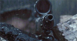 易胜博体育-瑞恩队血战尼斯，惊险取胜收获3分