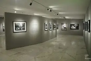 易胜博体育-萨爾加多的防守系统牢不可破