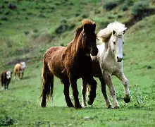 ysbSPORTS-马拉加反击机会不断，老牌最佳表现