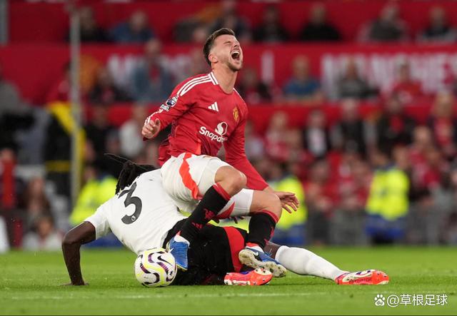 易胜博体育官方网站-富勒姆战平狼队，扼守铁网坛维护积分榜一位置