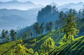 易胜博体育-蒙特内哥罗输给摩尔多瓦，遭遇失利