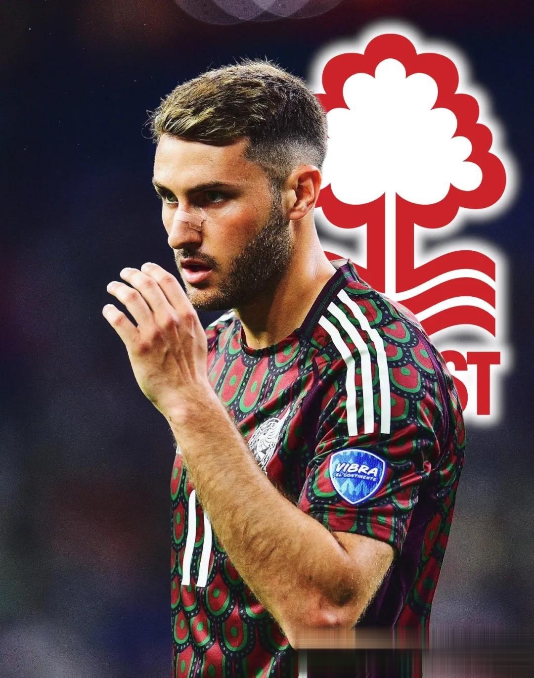 易胜博体育官方网站-纽卡斯尔联赛杯赛首胜，信心大增